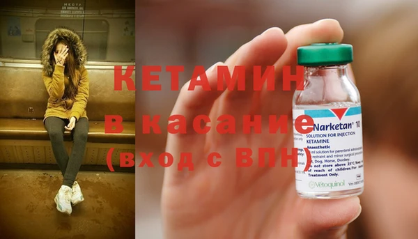 хмурый Аркадак