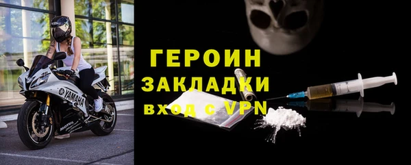 хмурый Аркадак