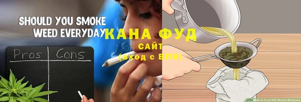 хмурый Аркадак