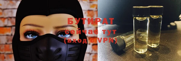 хмурый Аркадак