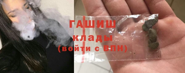 хмурый Аркадак