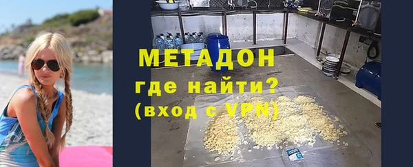 хмурый Аркадак