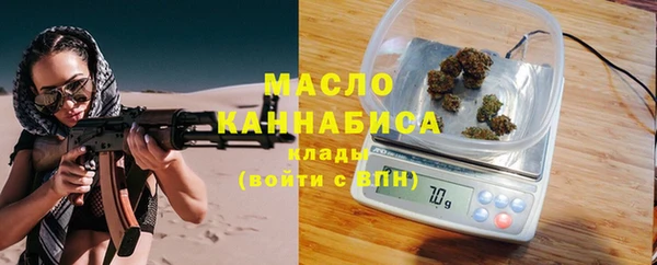 хмурый Аркадак