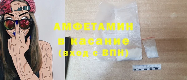 хмурый Аркадак