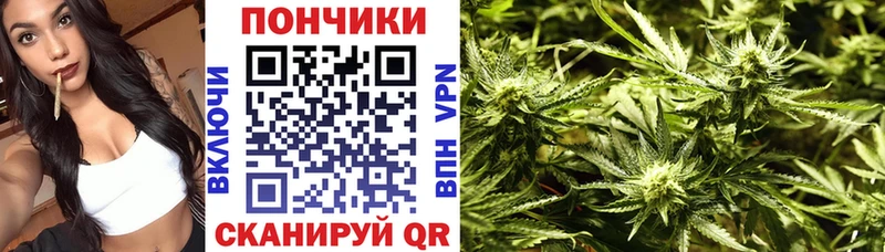 сколько стоит  площадка телеграм  Марихуана OG Kush  Чайковский 